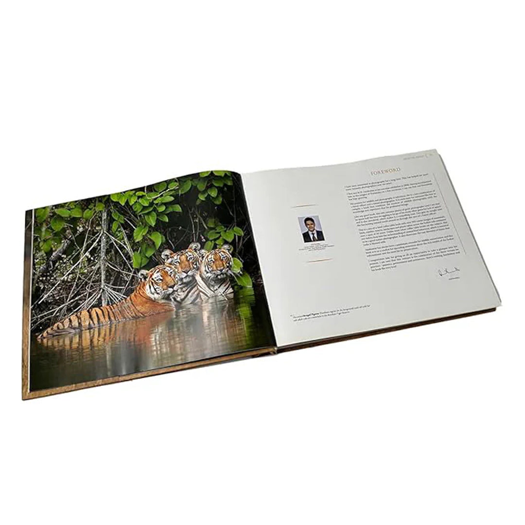 Life in the Jungle: Memoris of a forester - Coffee Table Book